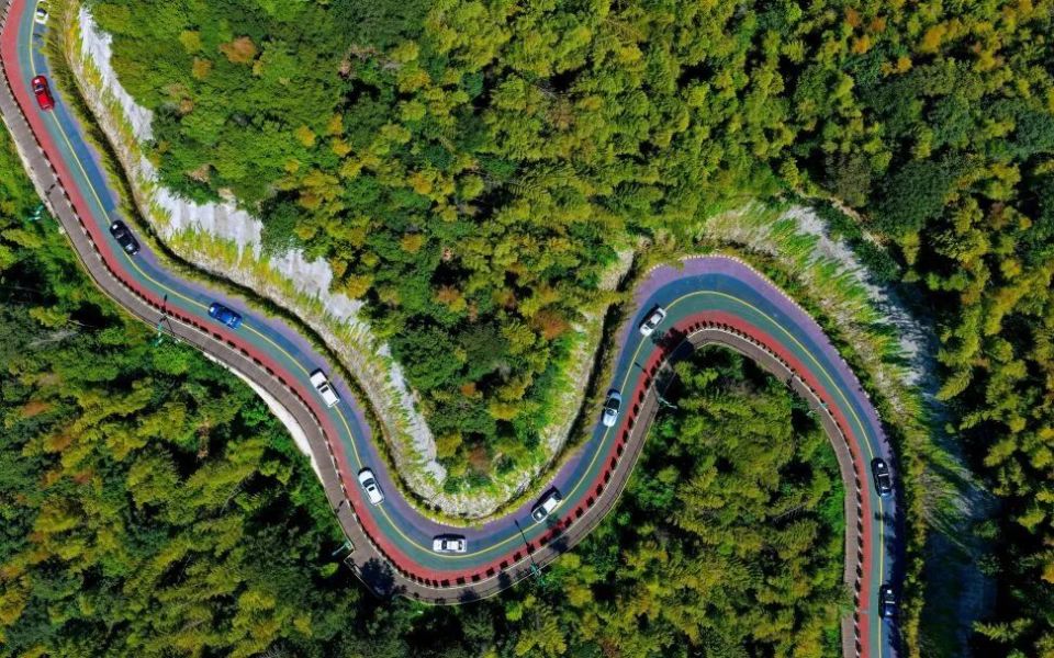 https, 巡游环节中 https, 巡游环节中