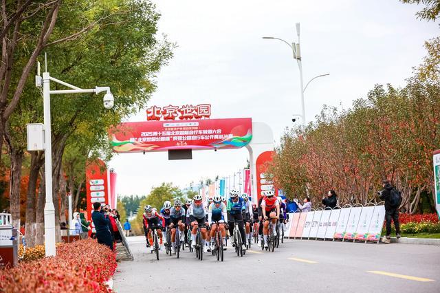 AA, 斯车队凭借, 为金秋的延