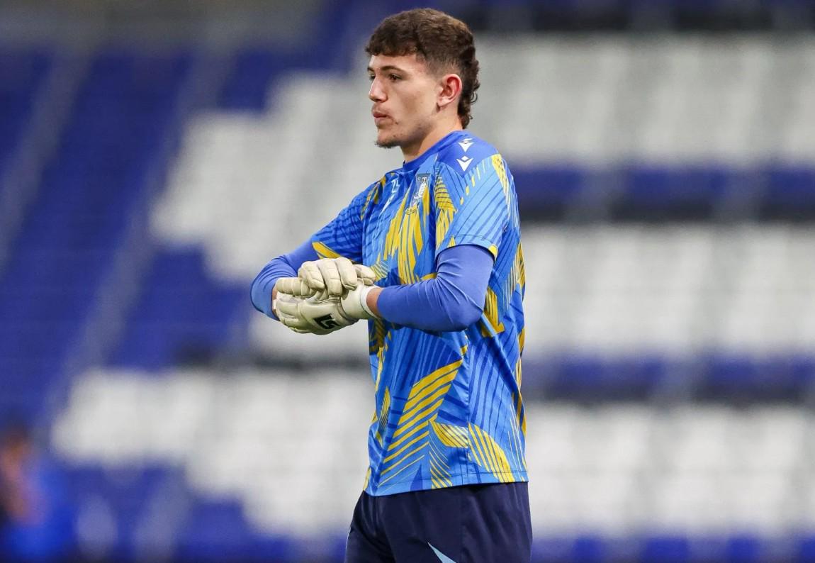 球队在夏季 球队在夏季